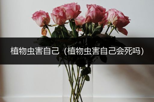 植物虫害自己（植物虫害自己会死吗）