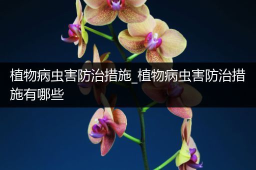 植物病虫害防治措施_植物病虫害防治措施有哪些