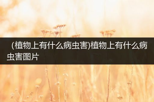 （植物上有什么病虫害)植物上有什么病虫害图片