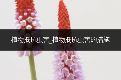 植物抵抗虫害_植物抵抗虫害的措施