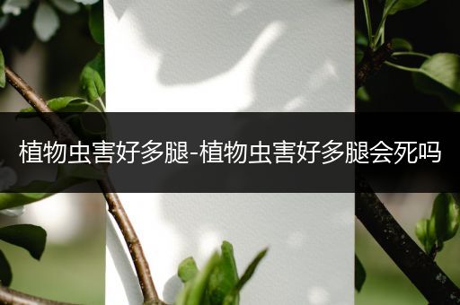 植物虫害好多腿-植物虫害好多腿会死吗