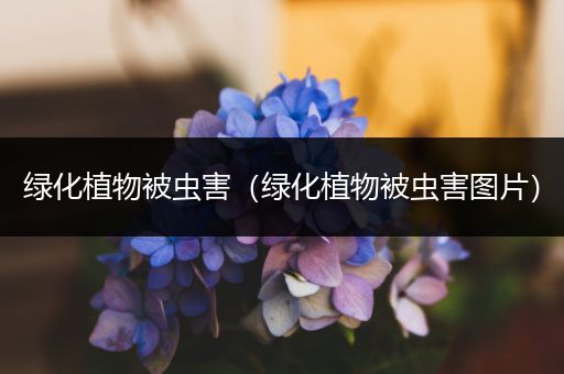 绿化植物被虫害（绿化植物被虫害图片）