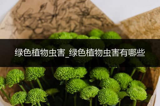 绿色植物虫害_绿色植物虫害有哪些