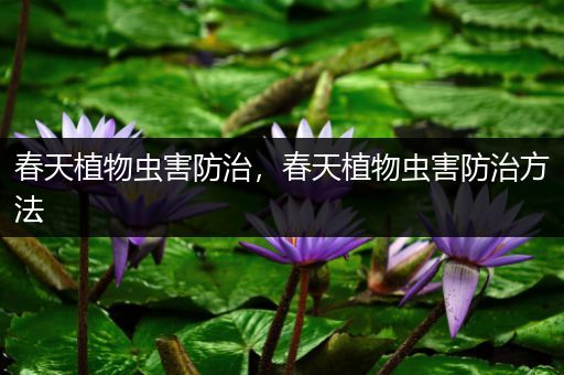 春天植物虫害防治，春天植物虫害防治方法