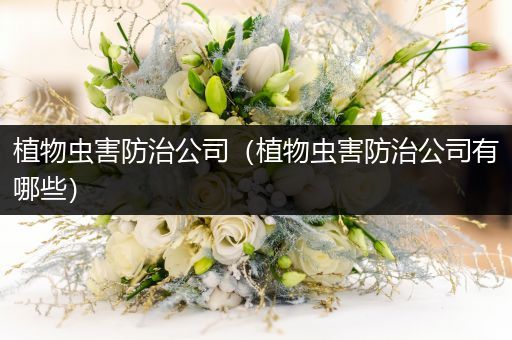 植物虫害防治公司（植物虫害防治公司有哪些）